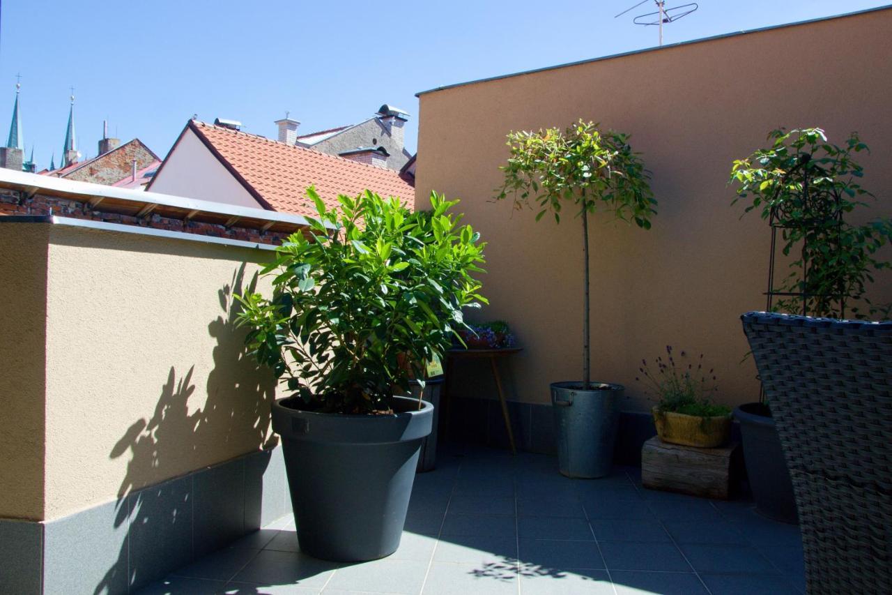 U Paluku Apartment Chrudim Exterior foto